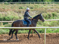 EL120925-17 - Zoran